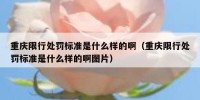 重庆限行处罚标准是什么样的啊（重庆限行处罚标准是什么样的啊图片）