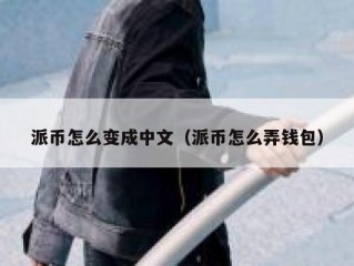 派币怎么变成中文（派币怎么弄钱包）