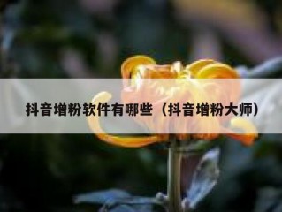 抖音增粉软件有哪些（抖音增粉大师）