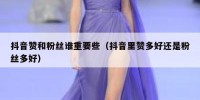 抖音赞和粉丝谁重要些（抖音里赞多好还是粉丝多好）