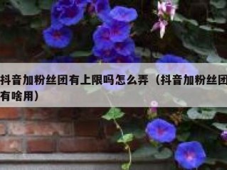 抖音加粉丝团有上限吗怎么弄（抖音加粉丝团有啥用）