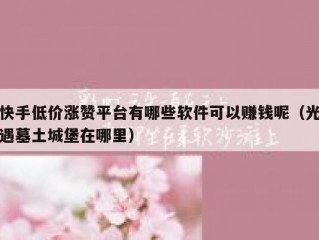 快手低价涨赞平台有哪些软件可以赚钱呢（光遇墓土城堡在哪里）
