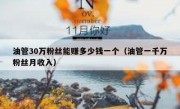 油管30万粉丝能赚多少钱一个（油管一千万粉丝月收入）