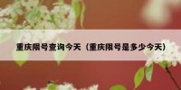 重庆限号查询今天（重庆限号是多少今天）