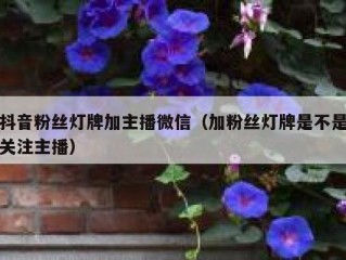 抖音粉丝灯牌加主播微信（加粉丝灯牌是不是关注主播）