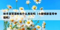 快手涨赞涨粉有什么用处吗（小规模都是零申报吗）