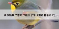 派币新用户怎么注册不了了（派币登录不上）