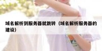 域名解析到服务器就跳转（域名解析服务器的建设）