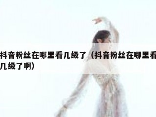 抖音粉丝在哪里看几级了（抖音粉丝在哪里看几级了啊）