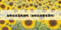 加粉丝团是陷阱吗（加粉丝团要收费吗）