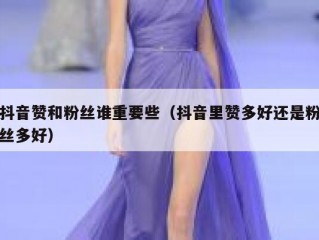 抖音赞和粉丝谁重要些（抖音里赞多好还是粉丝多好）