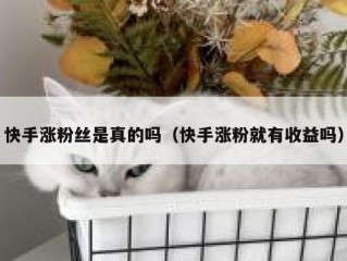 快手涨粉丝是真的吗（快手涨粉就有收益吗）