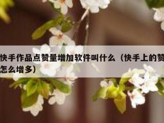 快手作品点赞量增加软件叫什么（快手上的赞怎么增多）