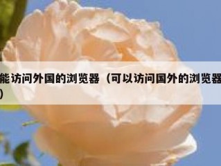 能访问外国的浏览器（可以访问国外的浏览器）
