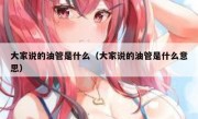 大家说的油管是什么（大家说的油管是什么意思）