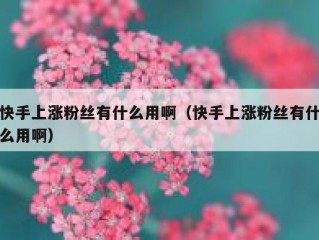 快手上涨粉丝有什么用啊（快手上涨粉丝有什么用啊）