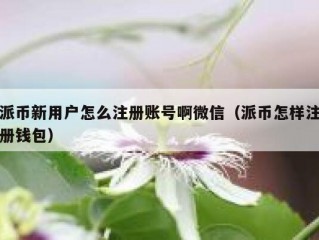 派币新用户怎么注册账号啊微信（派币怎样注册钱包）