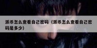 派币怎么查看自己密码（派币怎么查看自己密码是多少）
