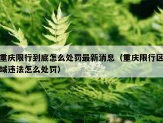 重庆限行到底怎么处罚最新消息（重庆限行区域违法怎么处罚）