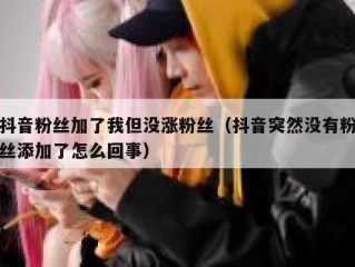 抖音粉丝加了我但没涨粉丝（抖音突然没有粉丝添加了怎么回事）
