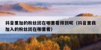 抖音里加的粉丝团在哪里看得到呢（抖音里我加入的粉丝团在哪里看）