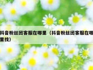 抖音粉丝团客服在哪里（抖音粉丝团客服在哪里找）