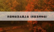 抖音粉丝怎么搞上去（抖音怎样粉丝）