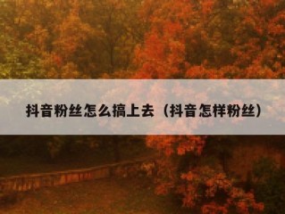 抖音粉丝怎么搞上去（抖音怎样粉丝）