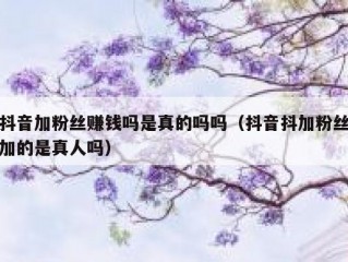 抖音加粉丝赚钱吗是真的吗吗（抖音抖加粉丝加的是真人吗）
