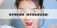 派币钱包视频（派币钱包激活流程）