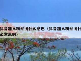 抖音加入粉丝团什么意思（抖音加入粉丝团什么意思啊）