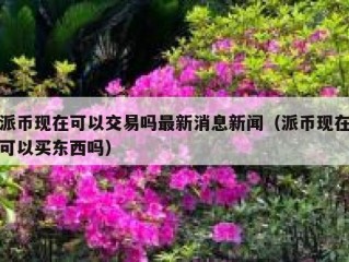 派币现在可以交易吗最新消息新闻（派币现在可以买东西吗）