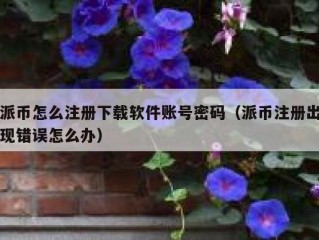 派币怎么注册下载软件账号密码（派币注册出现错误怎么办）
