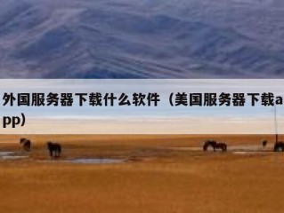 外国服务器下载什么软件（美国服务器下载app）