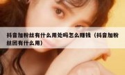 抖音加粉丝有什么用处吗怎么赚钱（抖音加粉丝团有什么用）
