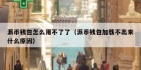派币钱包怎么用不了了（派币钱包加载不出来什么原因）