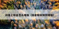 抖音上粉丝怎么增加（抖音粉丝如何增加）