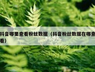 抖音哪里查看粉丝数据（抖音粉丝数据在哪查看）
