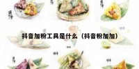 抖音加粉工具是什么（抖音粉加加）