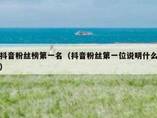 抖音粉丝榜第一名（抖音粉丝第一位说明什么）