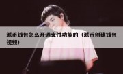 派币钱包怎么开通支付功能的（派币创建钱包视频）