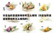 抖音加粉渠道有哪些呢怎么赚钱（抖音加粉渠道有哪些呢怎么赚钱的）