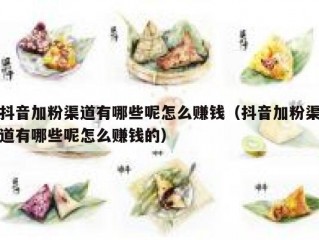 抖音加粉渠道有哪些呢怎么赚钱（抖音加粉渠道有哪些呢怎么赚钱的）