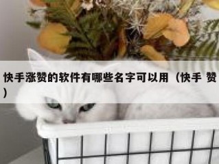 快手涨赞的软件有哪些名字可以用（快手 赞）