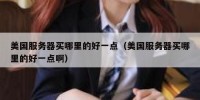美国服务器买哪里的好一点（美国服务器买哪里的好一点啊）