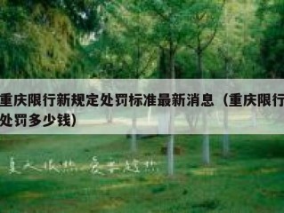 重庆限行新规定处罚标准最新消息（重庆限行处罚多少钱）