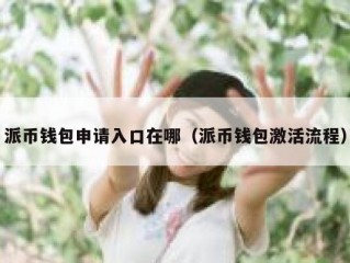 派币钱包申请入口在哪（派币钱包激活流程）