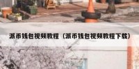 派币钱包视频教程（派币钱包视频教程下载）