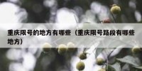 重庆限号的地方有哪些（重庆限号路段有哪些地方）