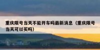 重庆限号当天不能开车吗最新消息（重庆限号当天可以买吗）